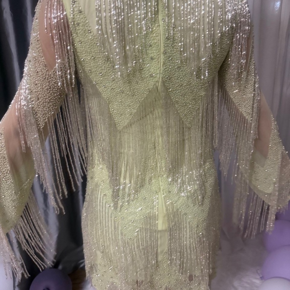 Rachel Gilbert Sequin Long Sleeve Dress in Cream and Silver - Picture 8 of 12